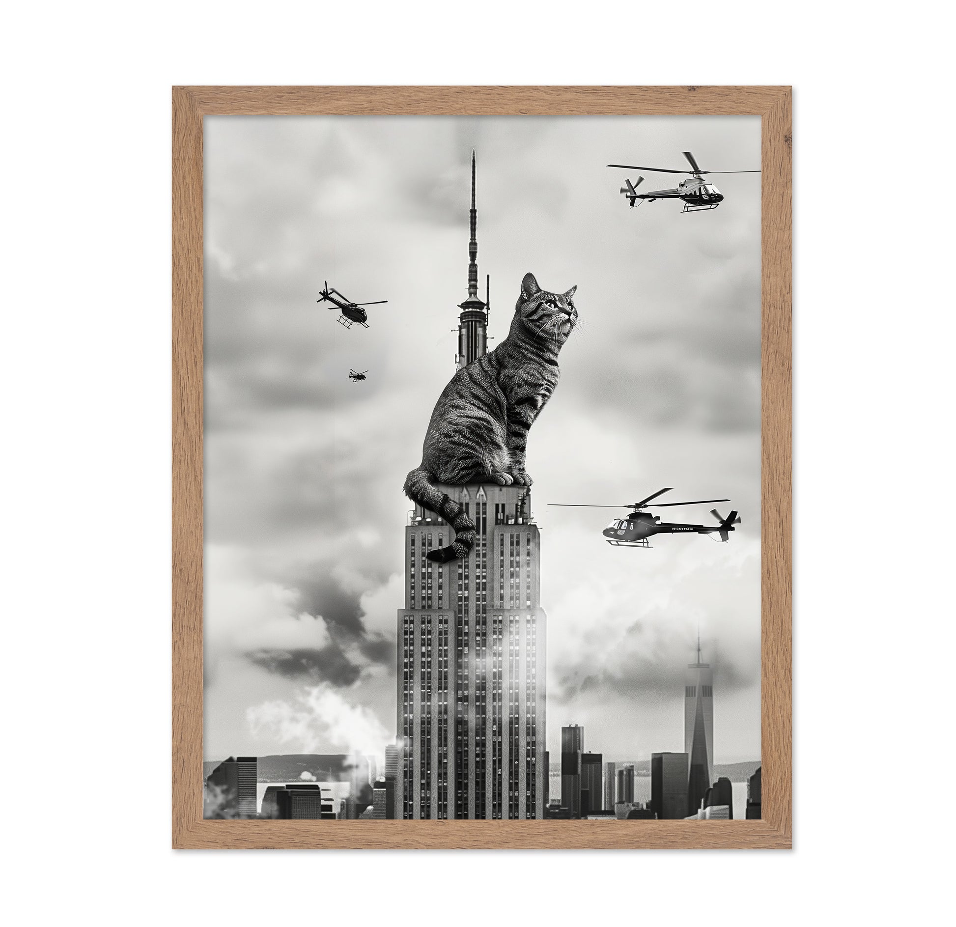 Cat On Top