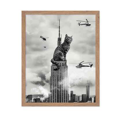 Cat On Top