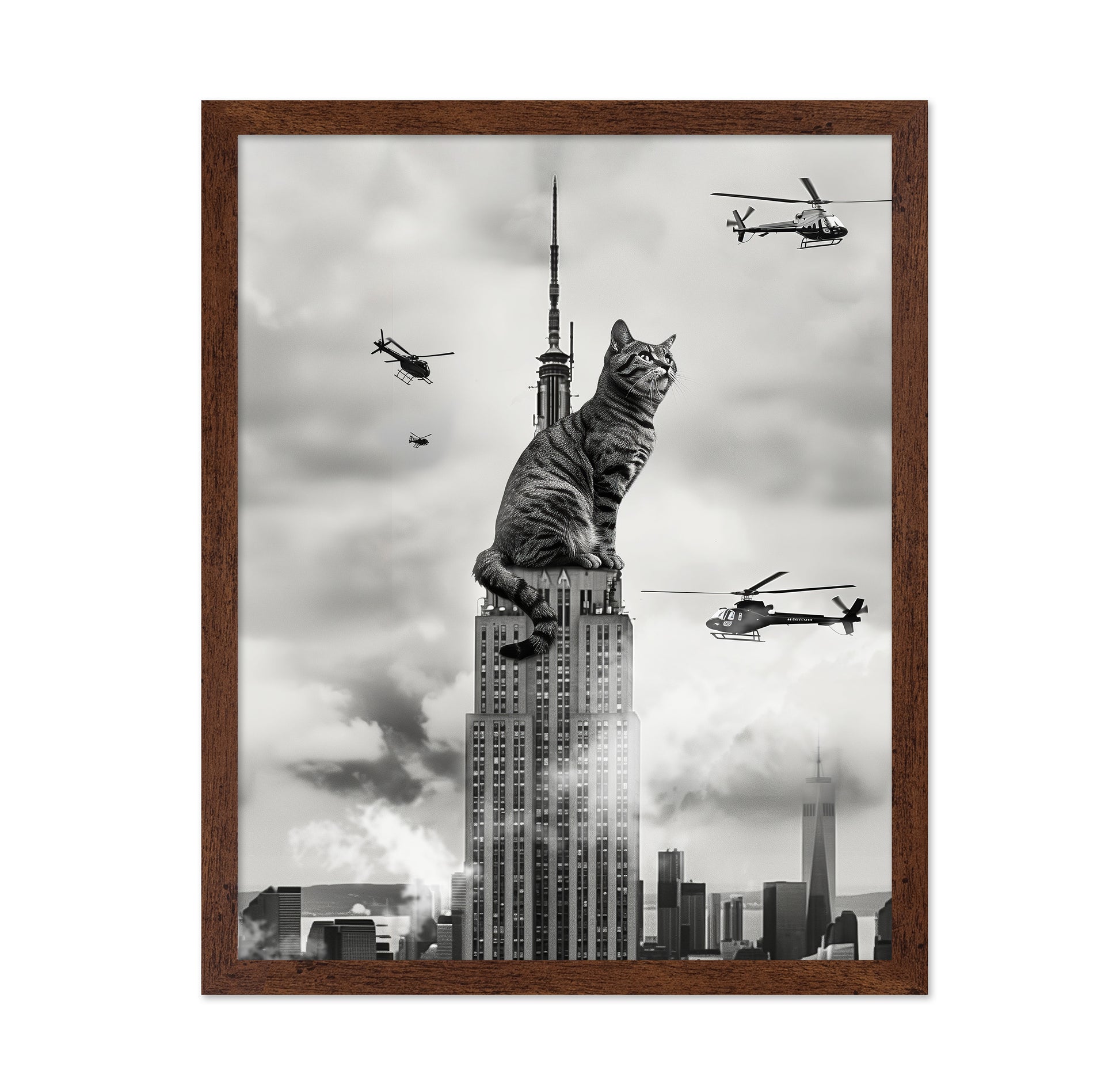Cat On Top