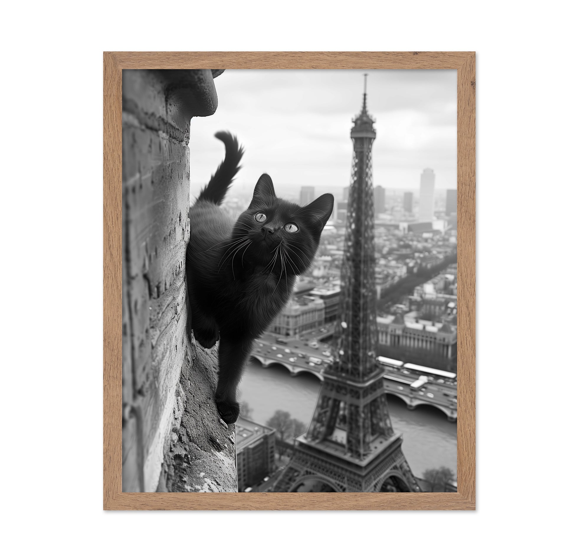 Kitty In Paris