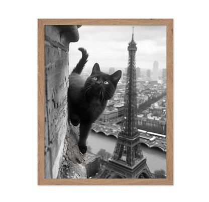 Kitty In Paris
