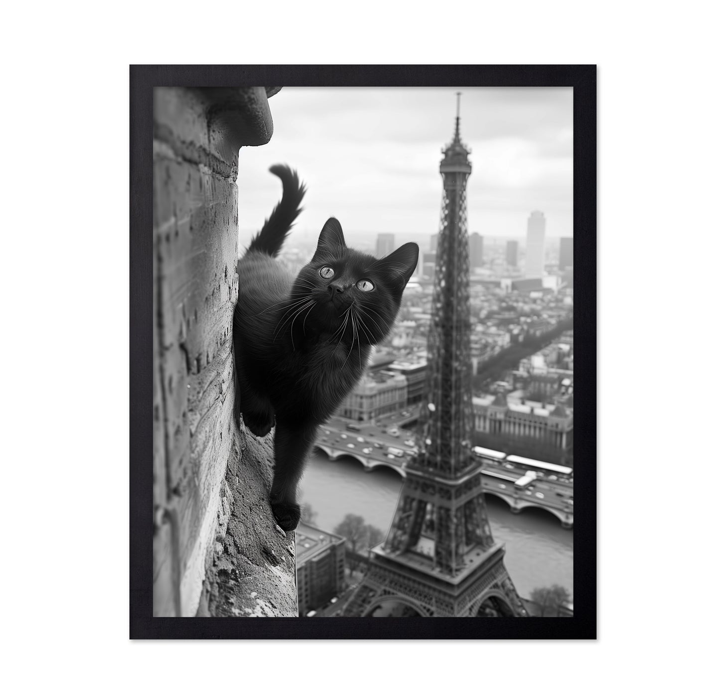 Kitty In Paris