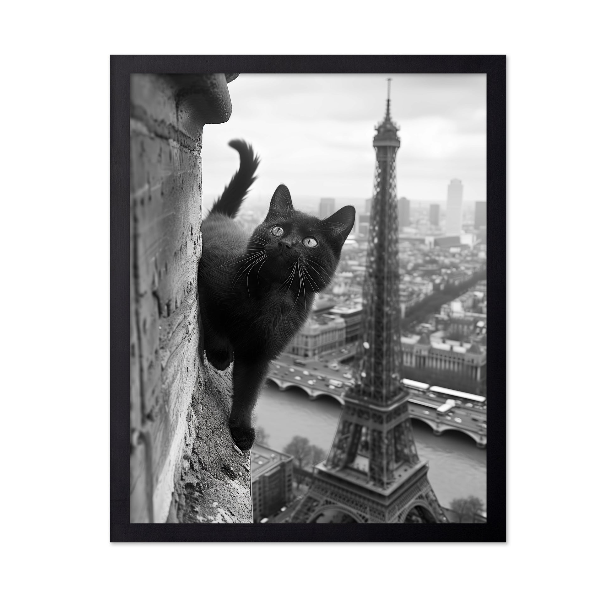 Kitty In Paris