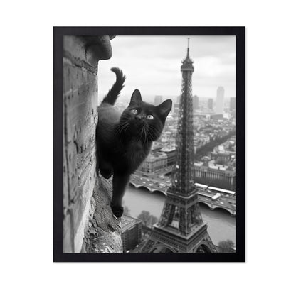 Kitty In Paris
