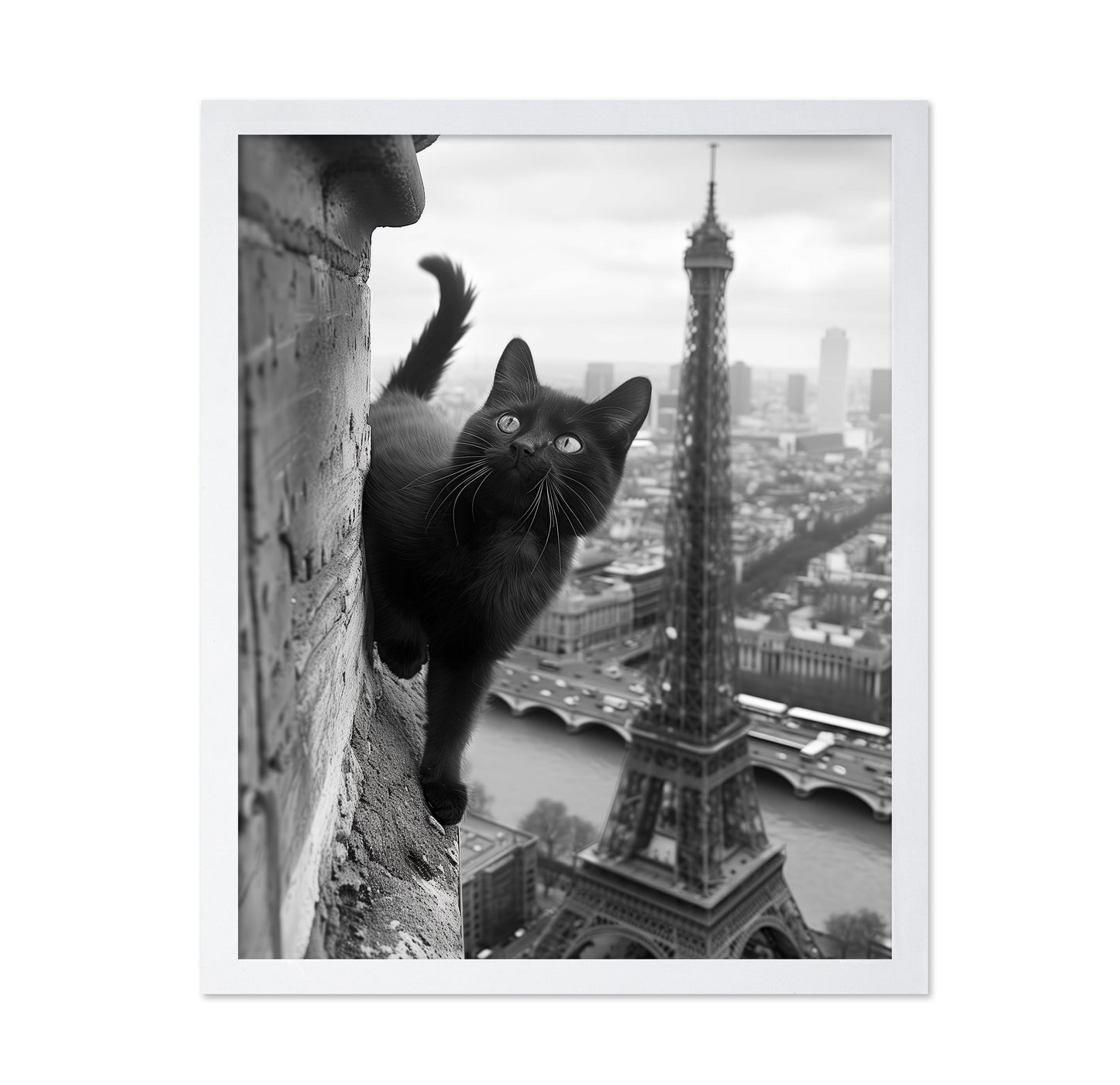 Kitty In Paris
