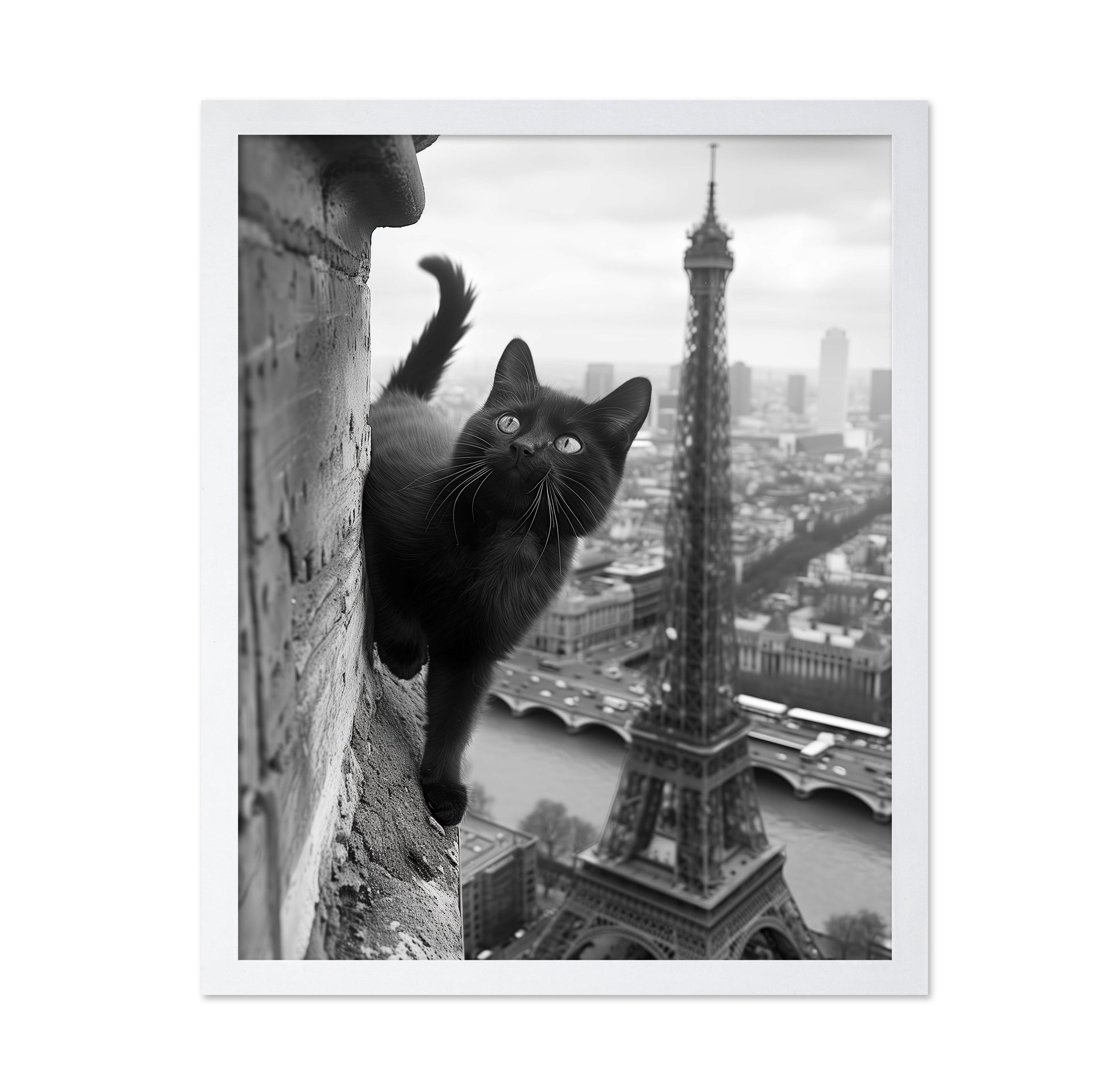 Kitty In Paris