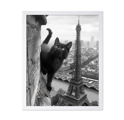 Kitty In Paris