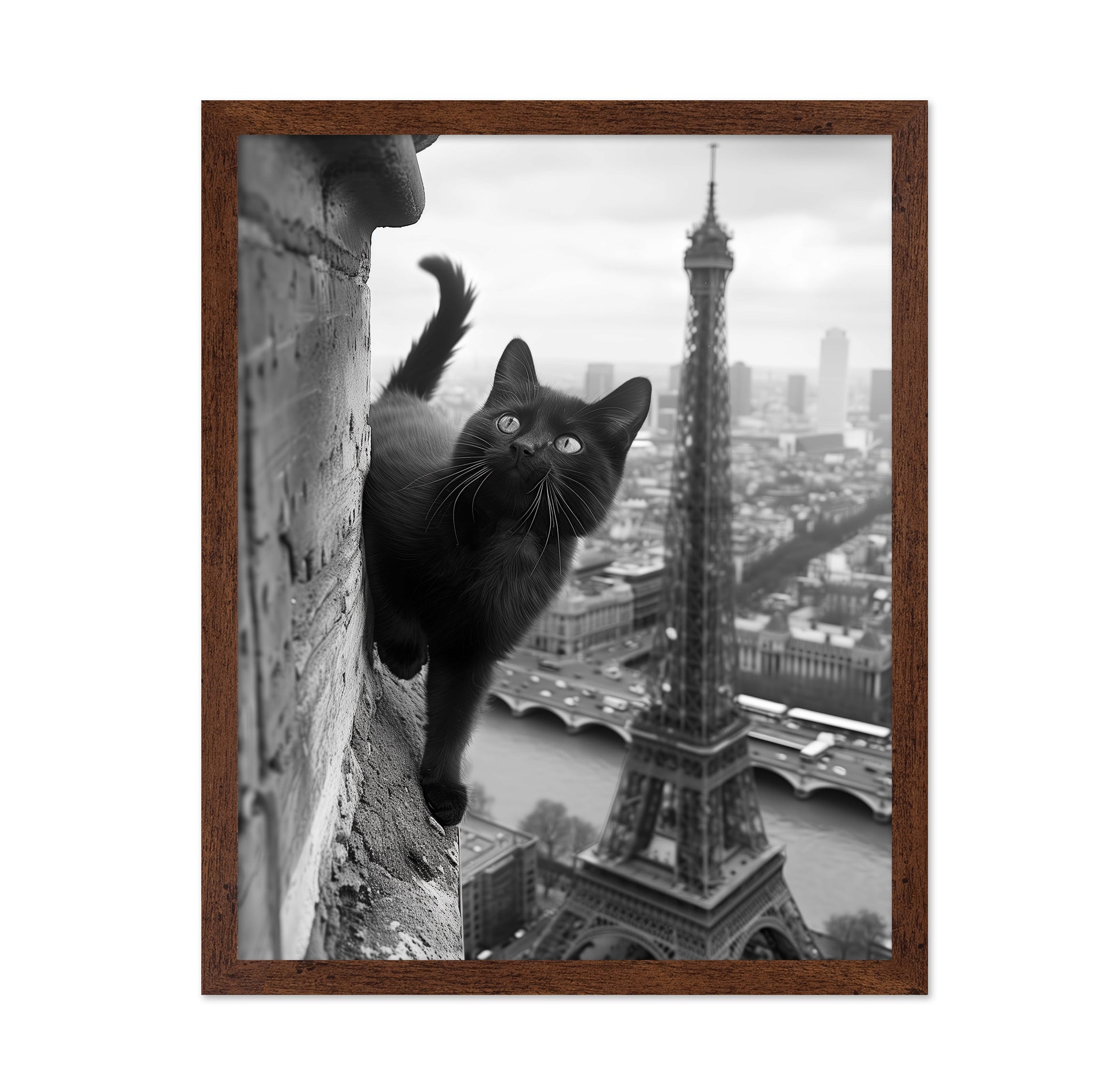 Kitty In Paris