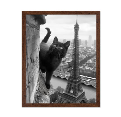 Kitty In Paris