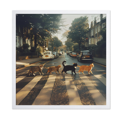 Kitty Abbey Road