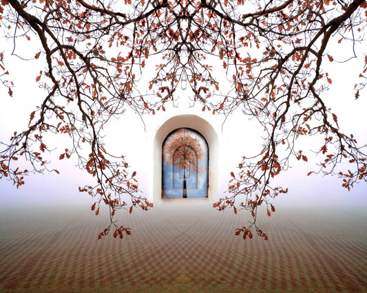 Tree Of Life