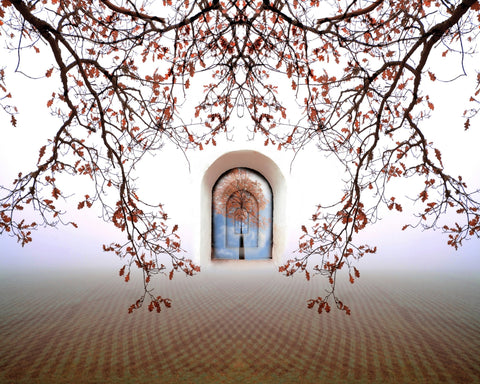 Tree Of Life