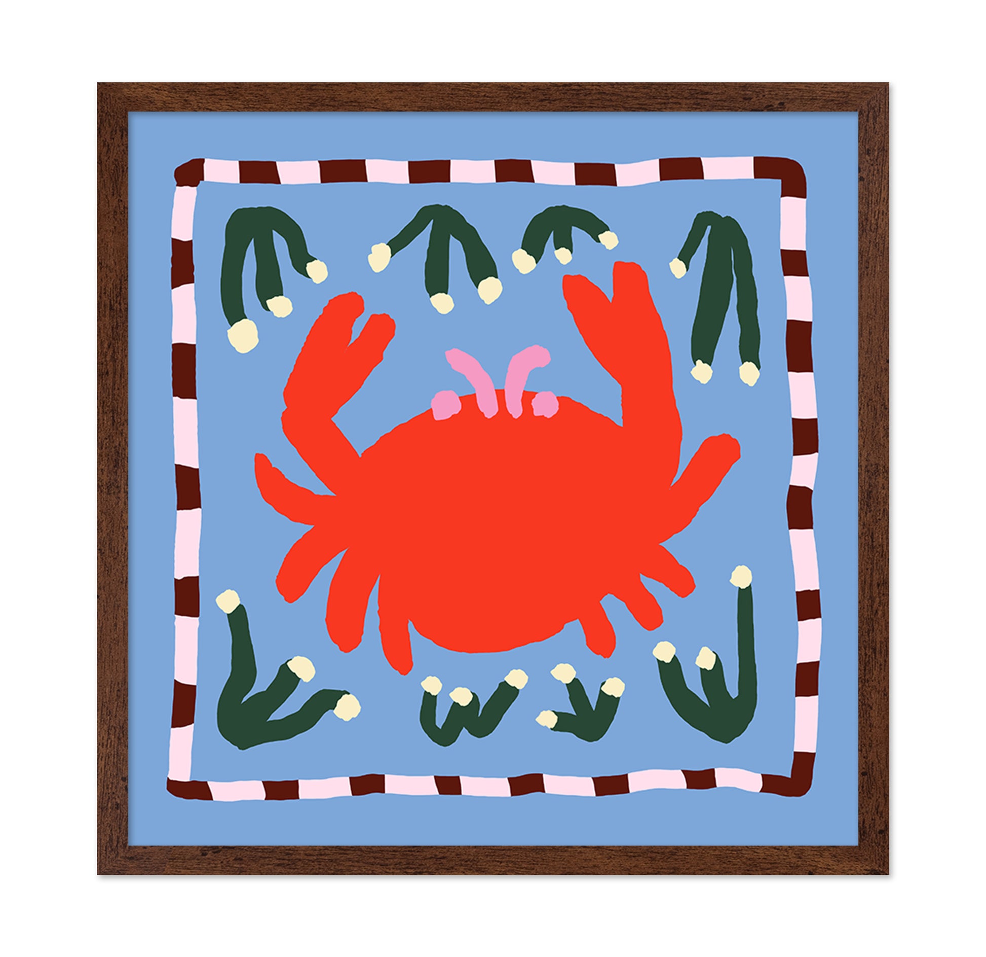 Crab Illustration
