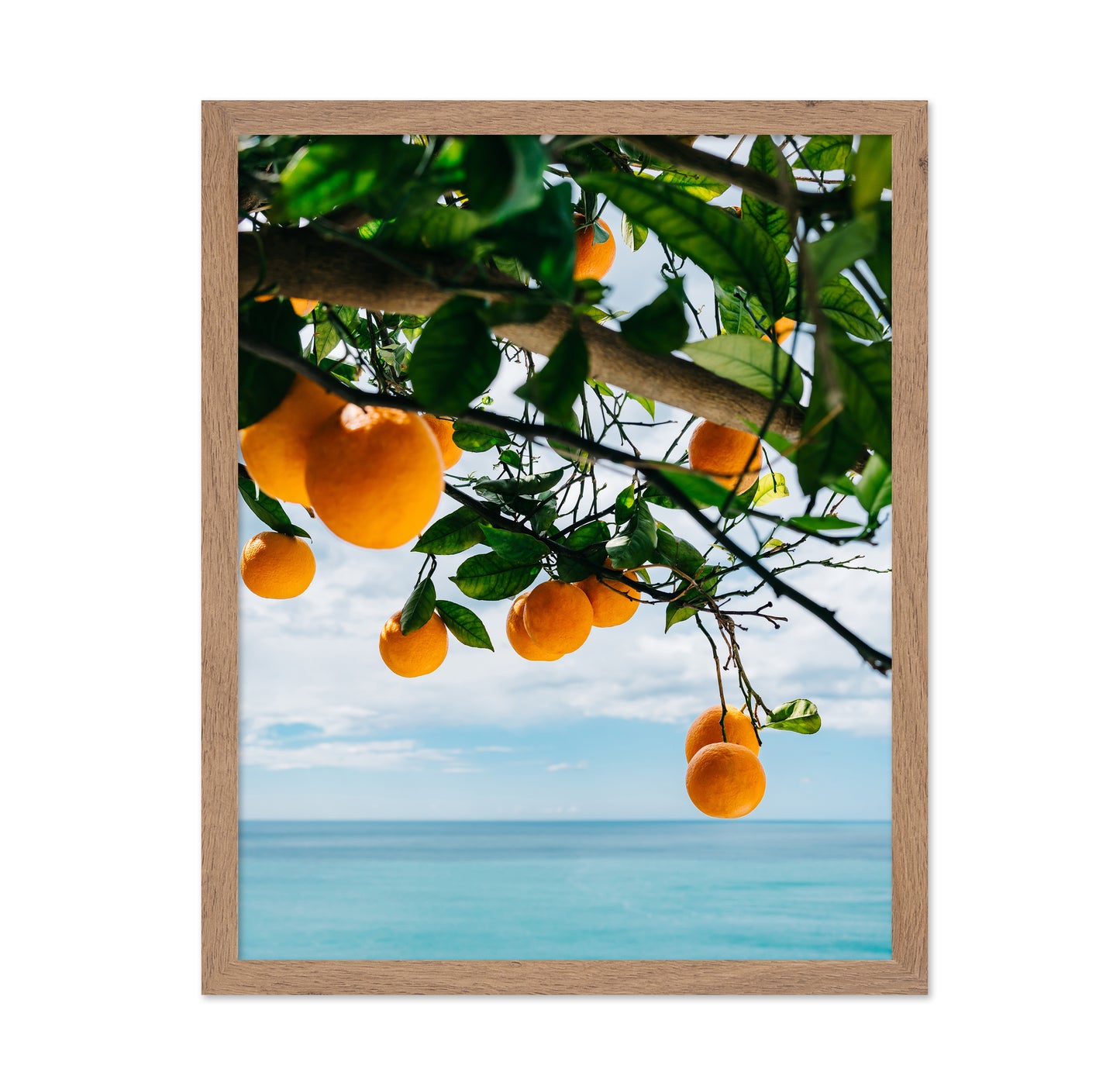 Amalfi Coast Oranges