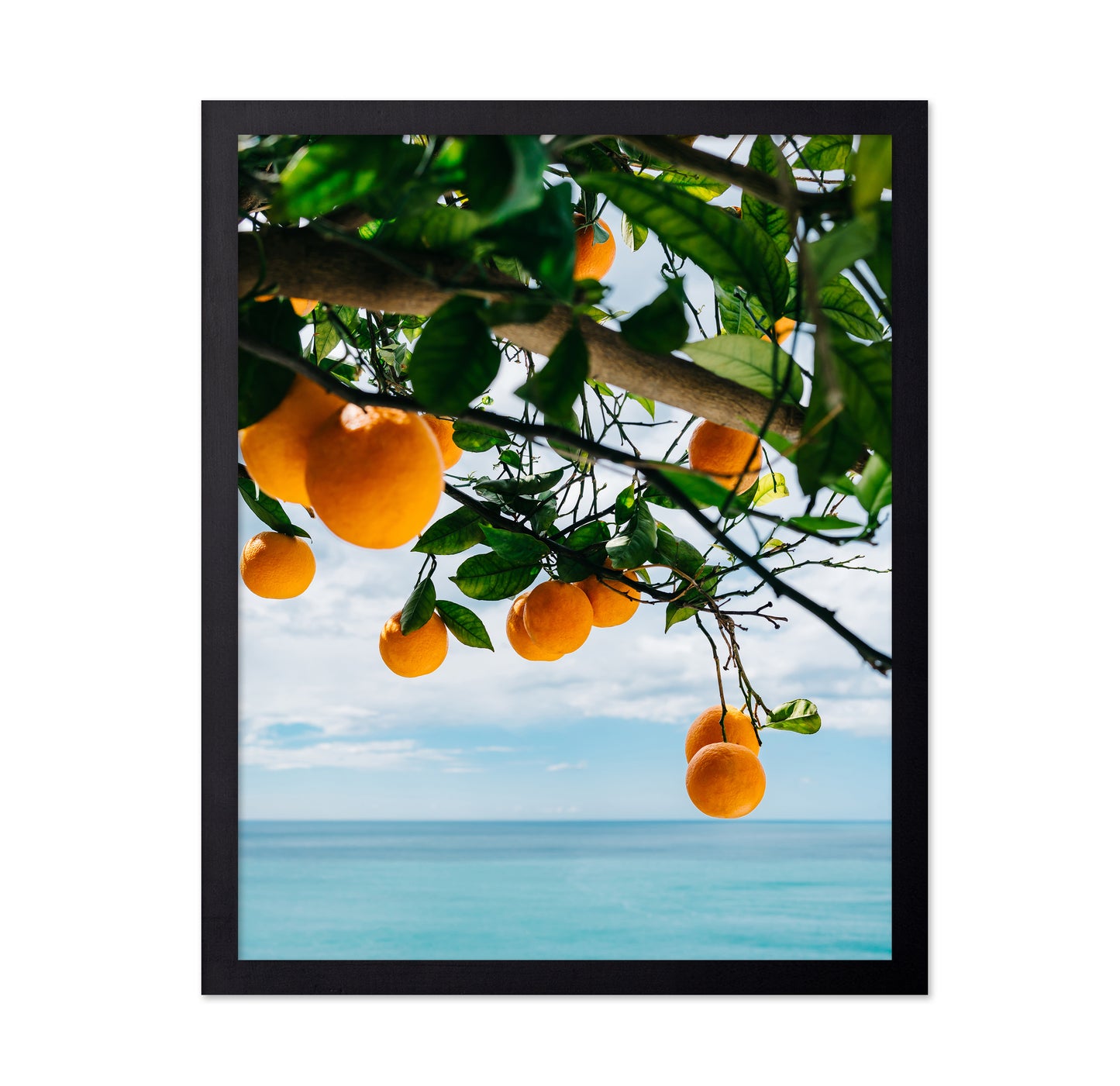 Amalfi Coast Oranges