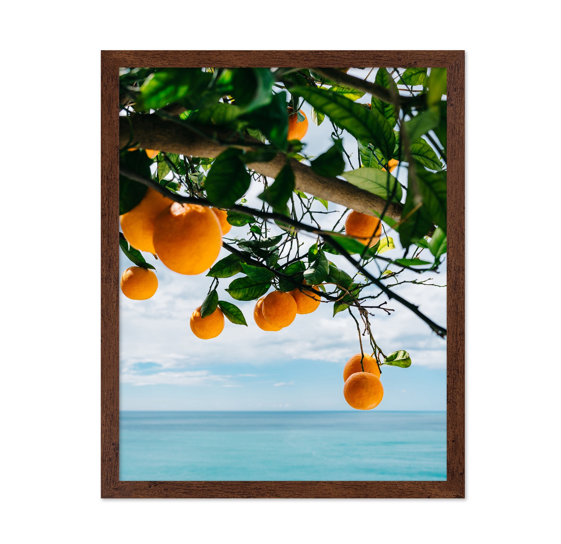 Amalfi Coast Oranges