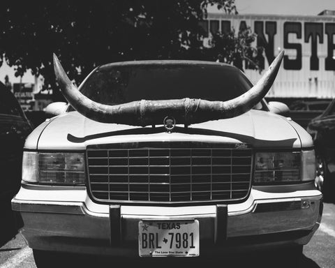 Texas Ride