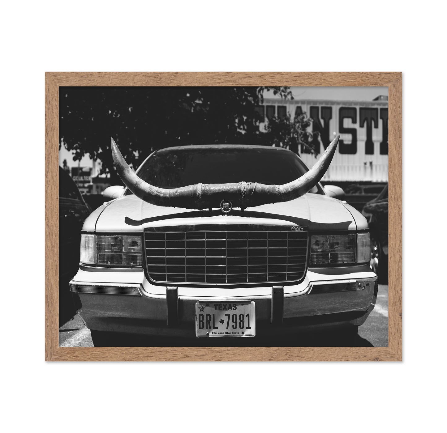 Texas Ride