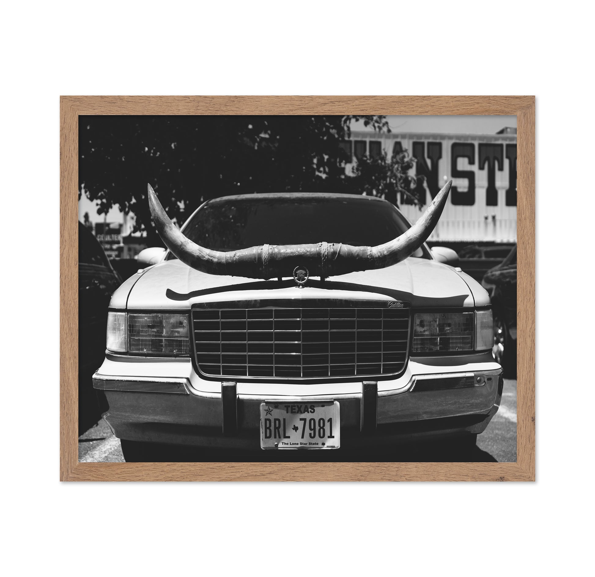 Texas Ride