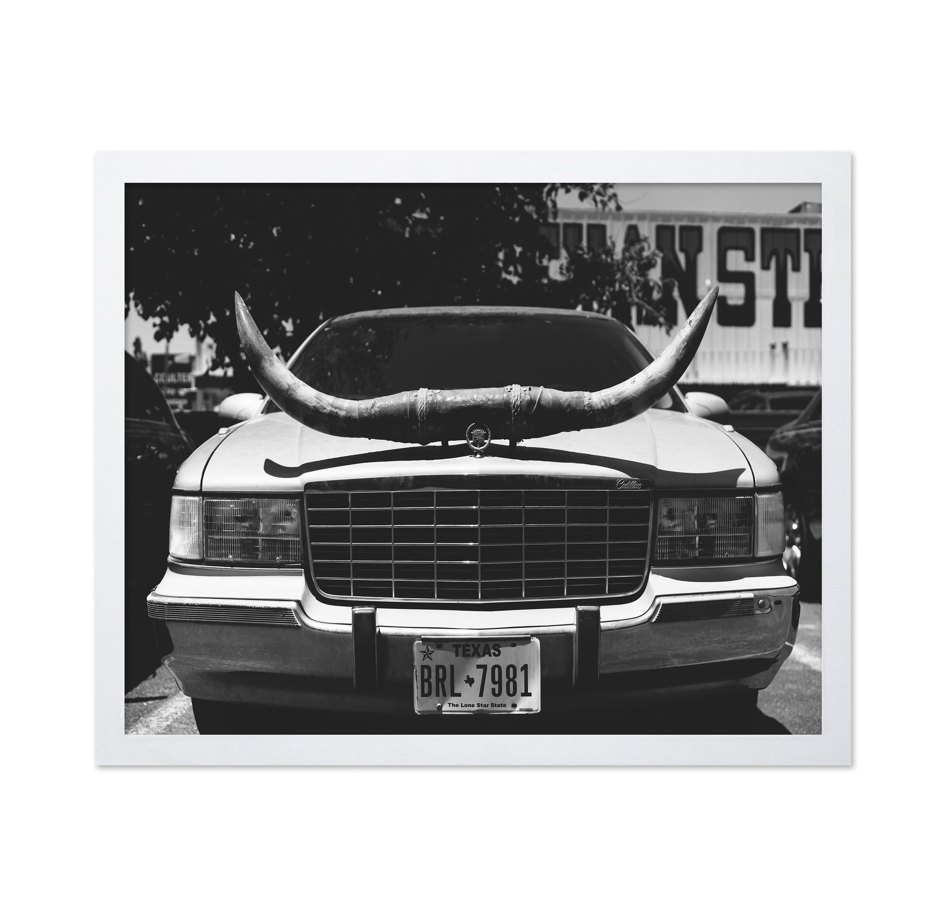 Texas Ride