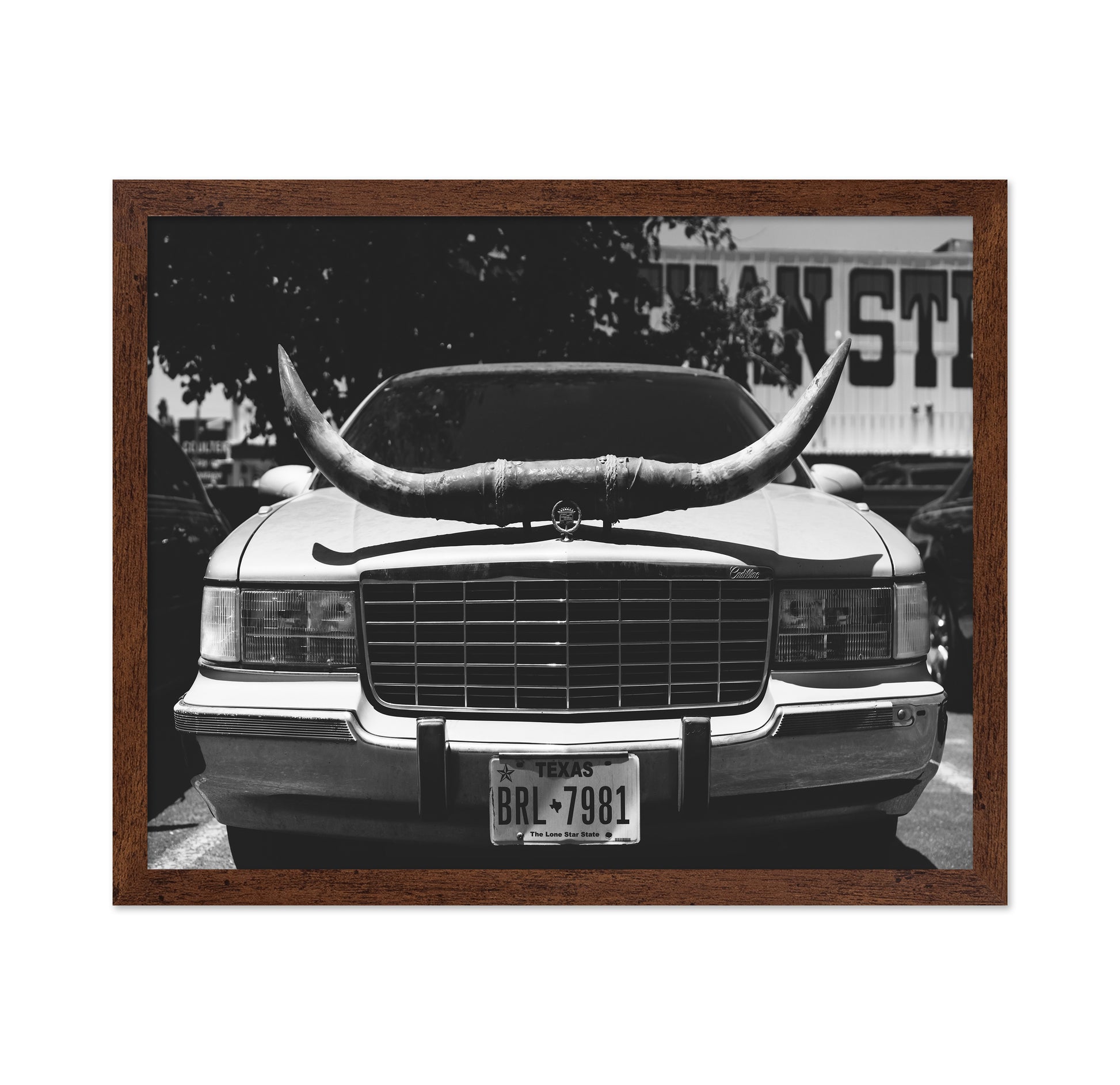 Texas Ride