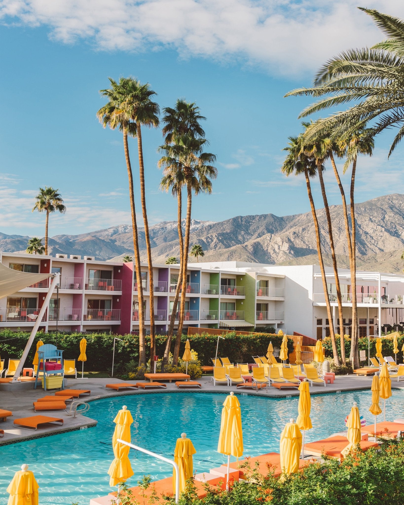Palm Springs Saguaro