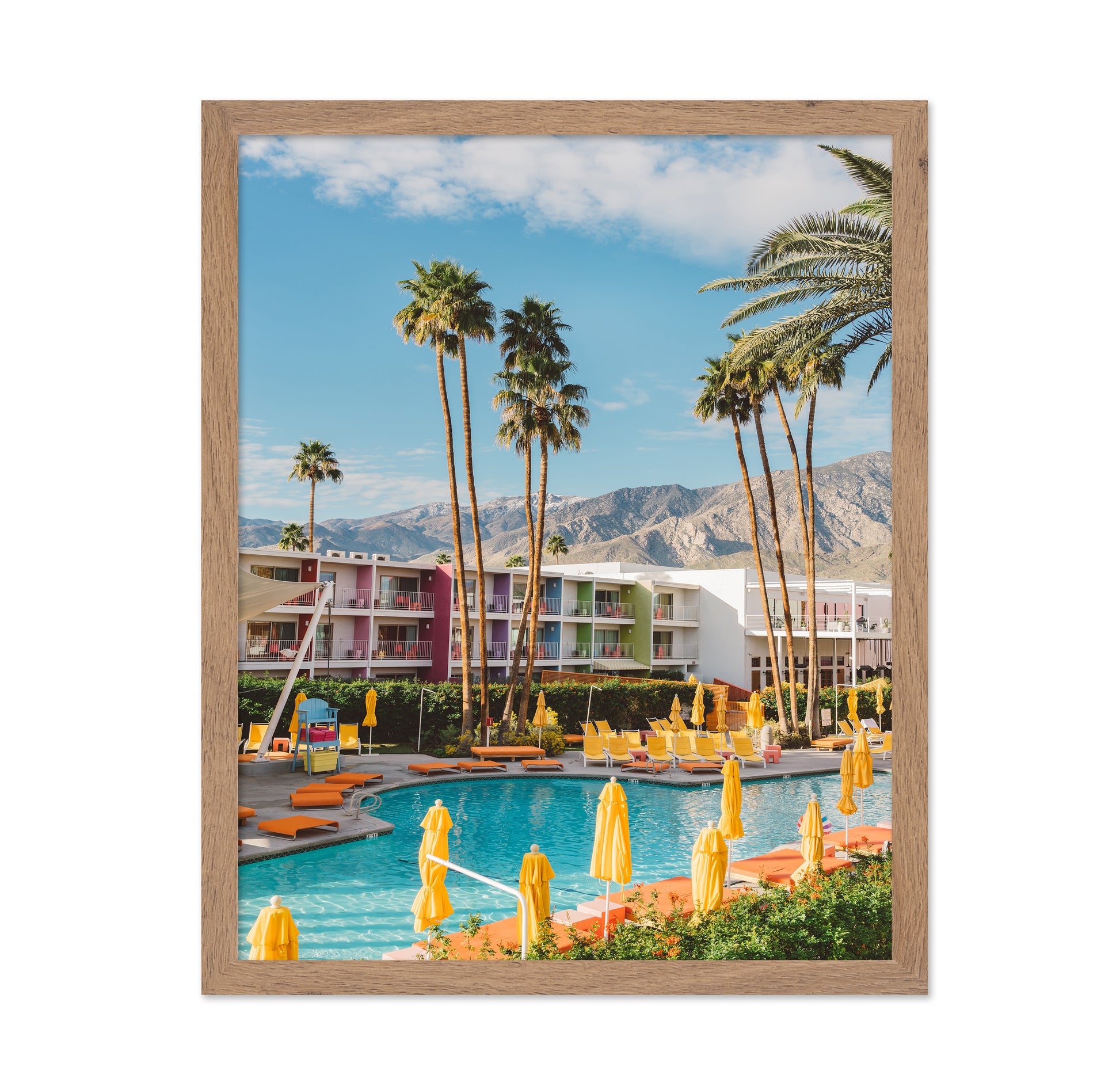 Palm Springs Saguaro