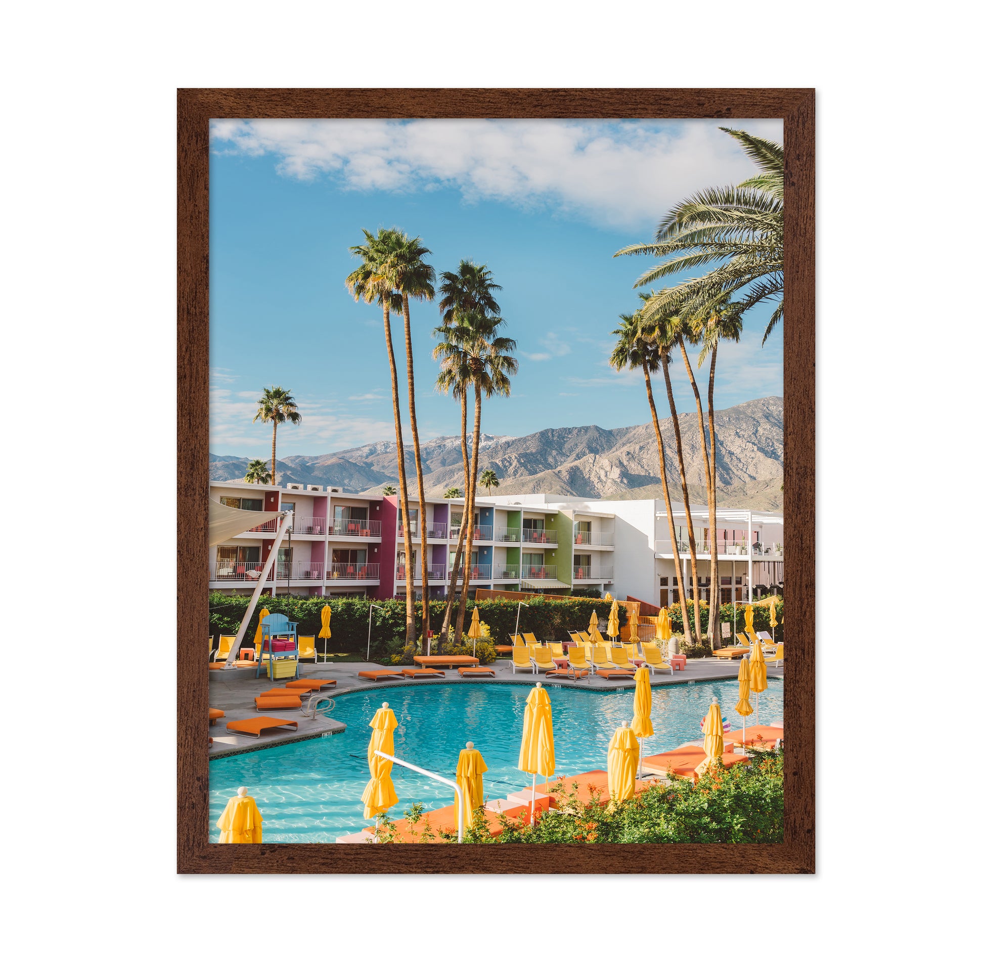 Palm Springs Saguaro