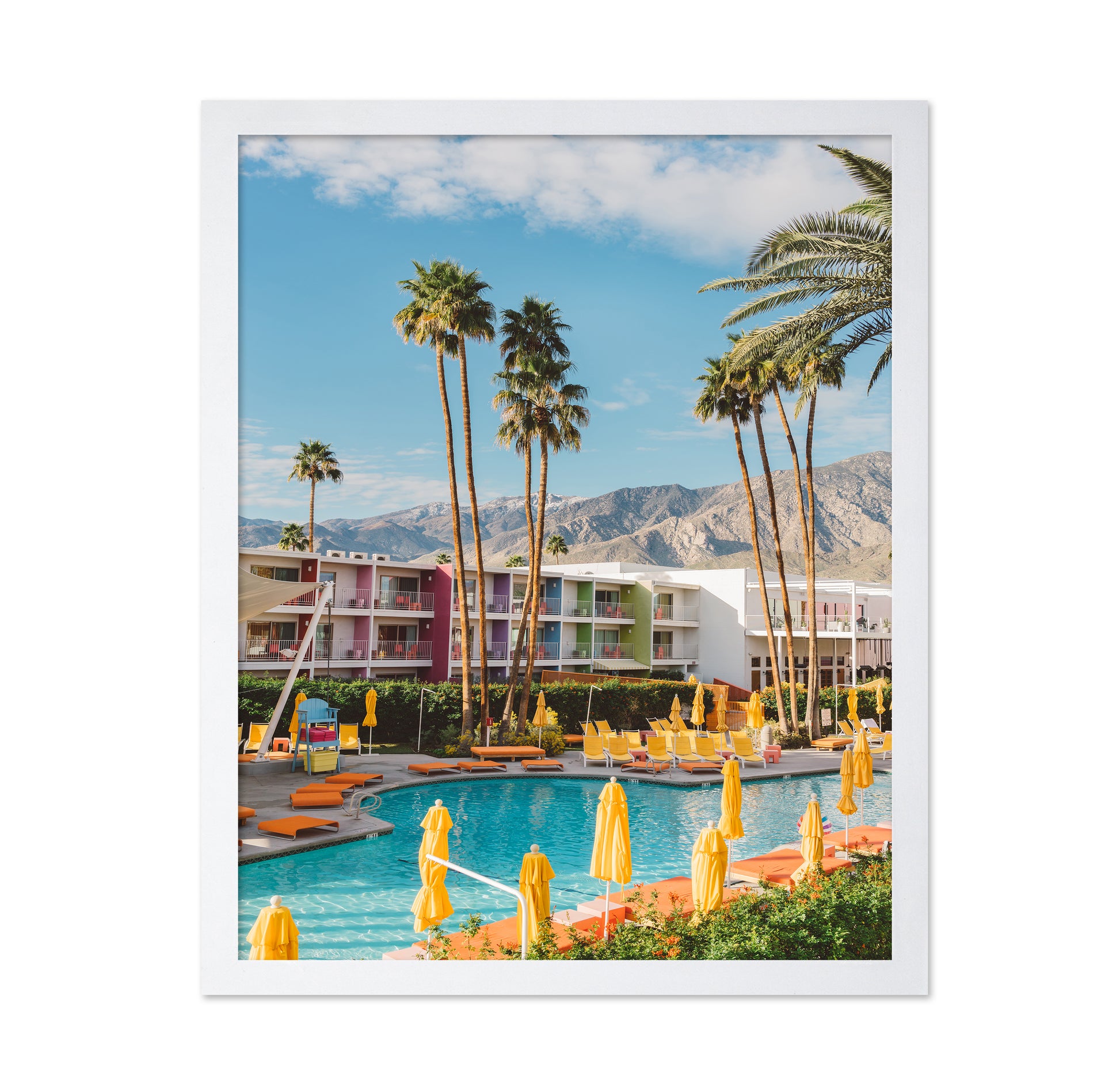 Palm Springs Saguaro