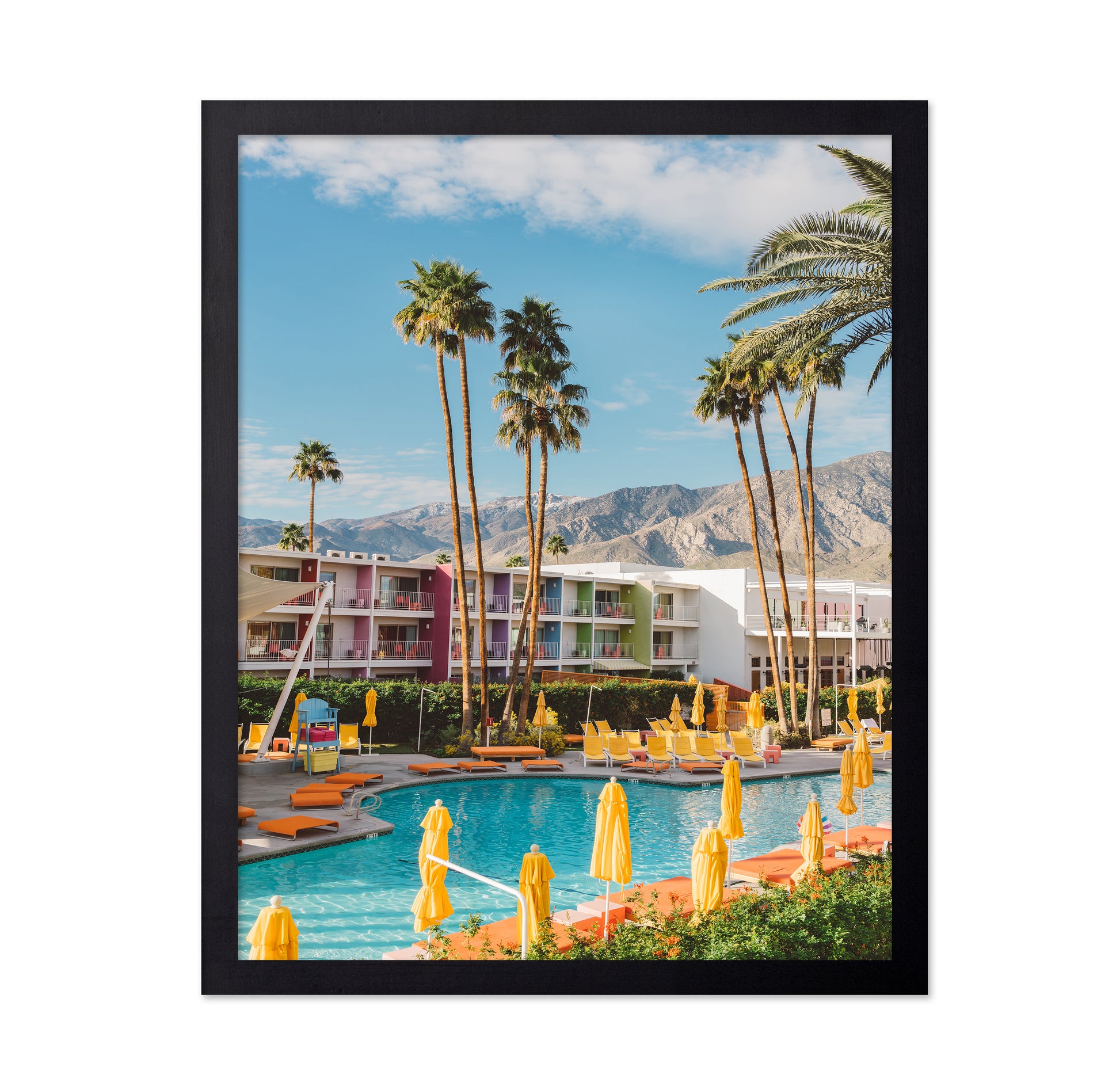 Palm Springs Saguaro
