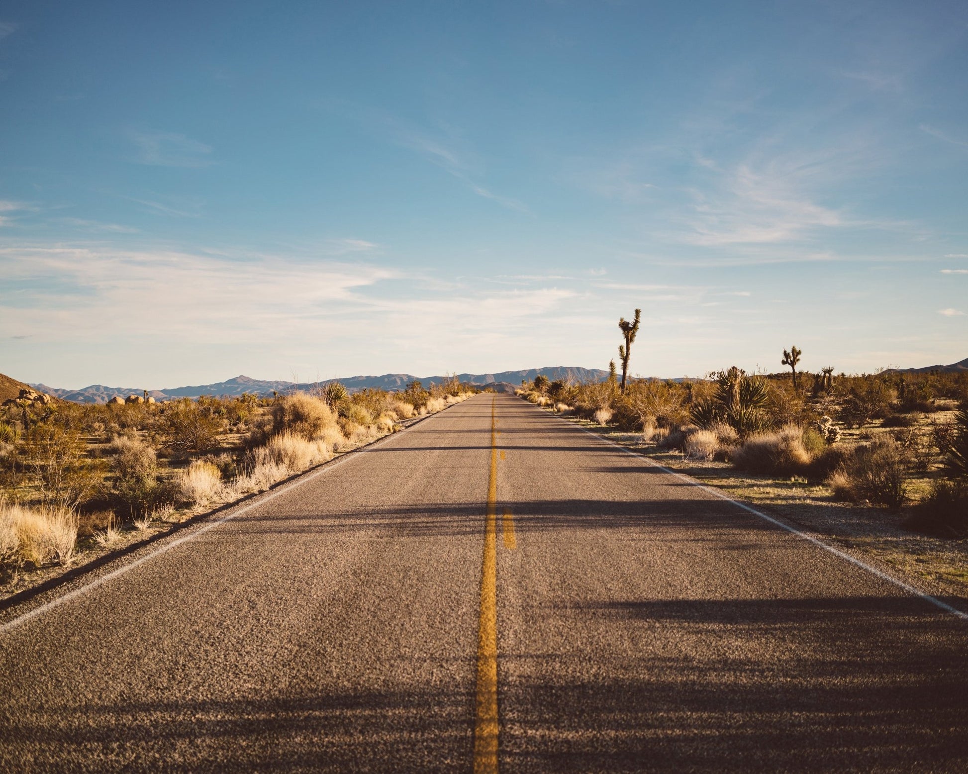 Joshua Tree Road No1
