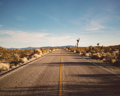 Joshua Tree Road No1