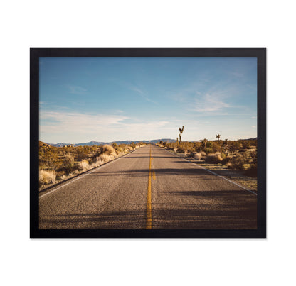 Joshua Tree Road No1