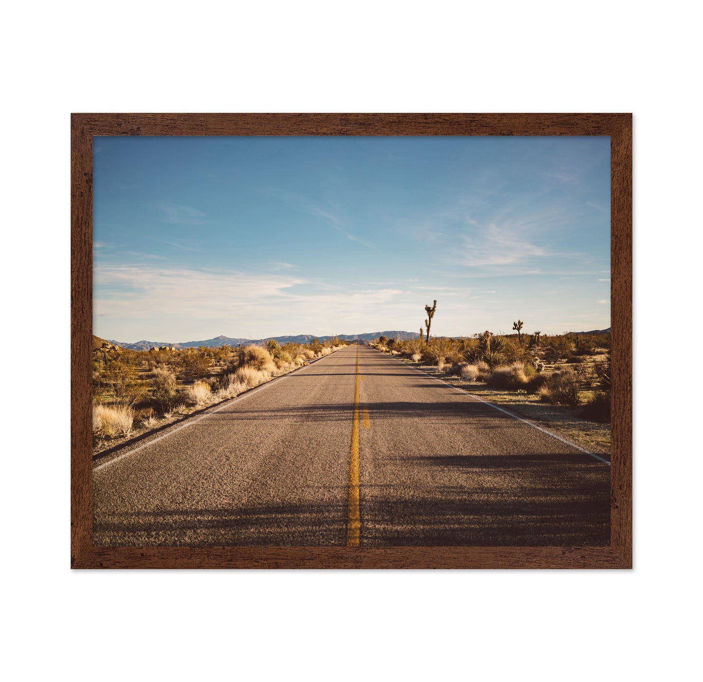 Joshua Tree Road No1
