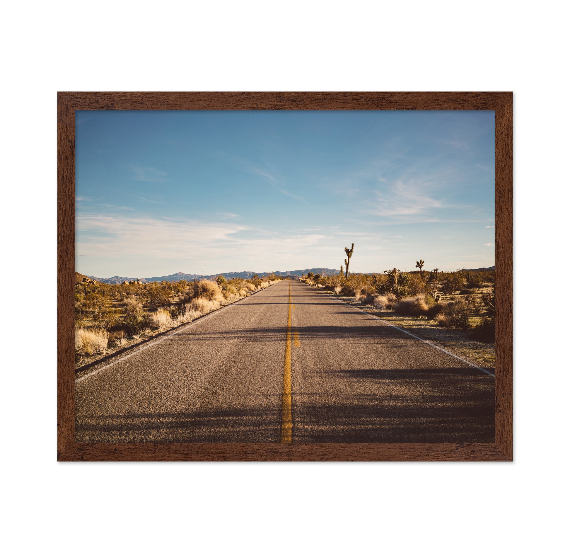 Joshua Tree Road No1
