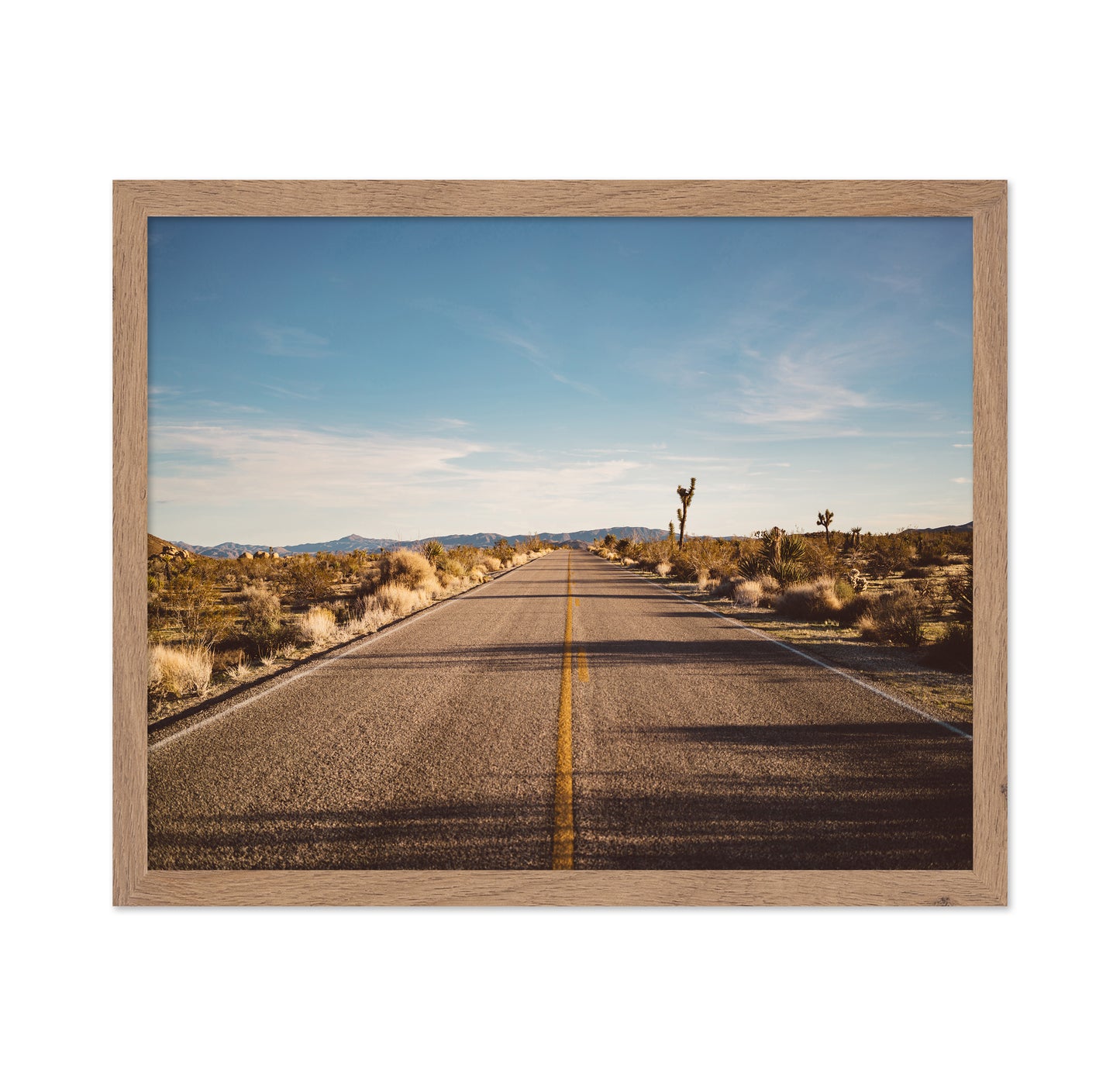 Joshua Tree Road No1
