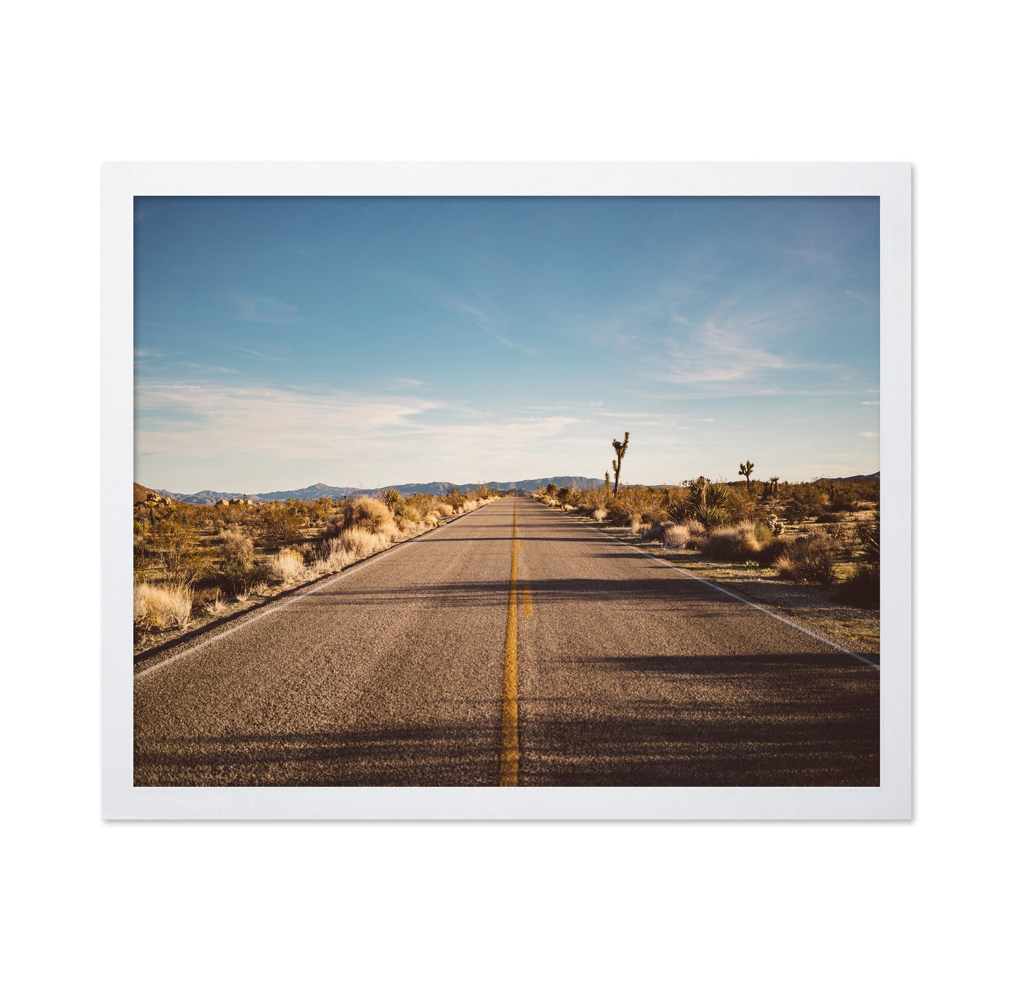Joshua Tree Road No1