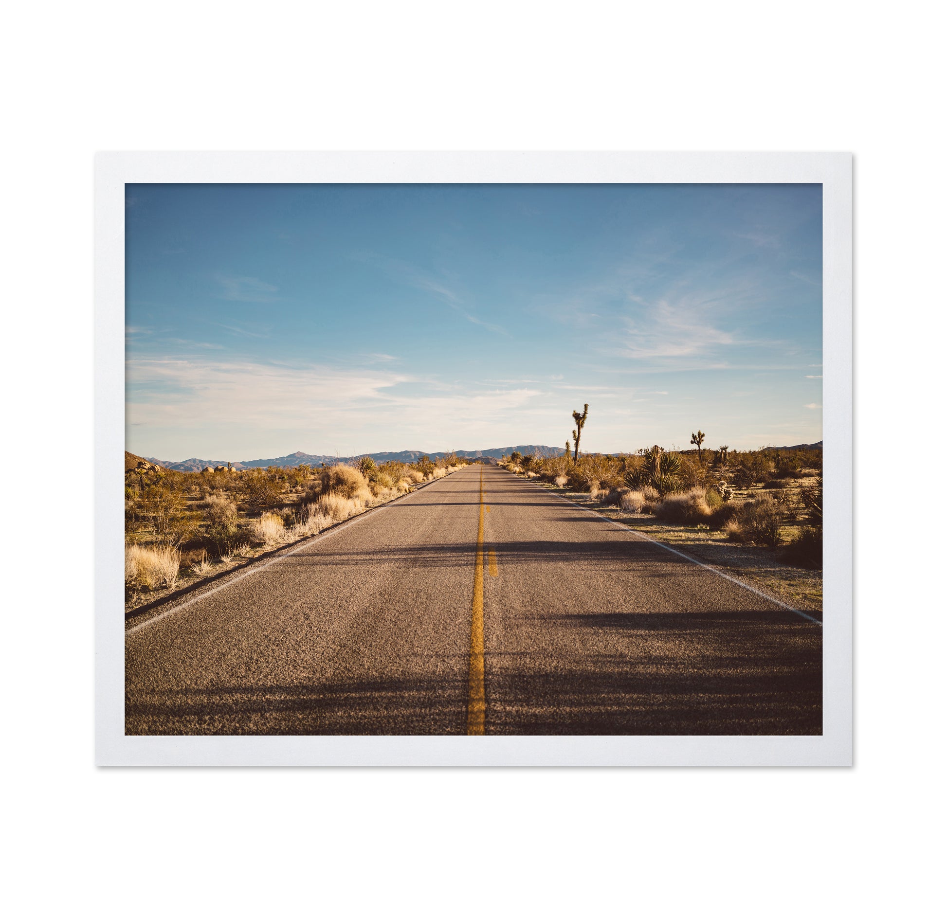 Joshua Tree Road No1