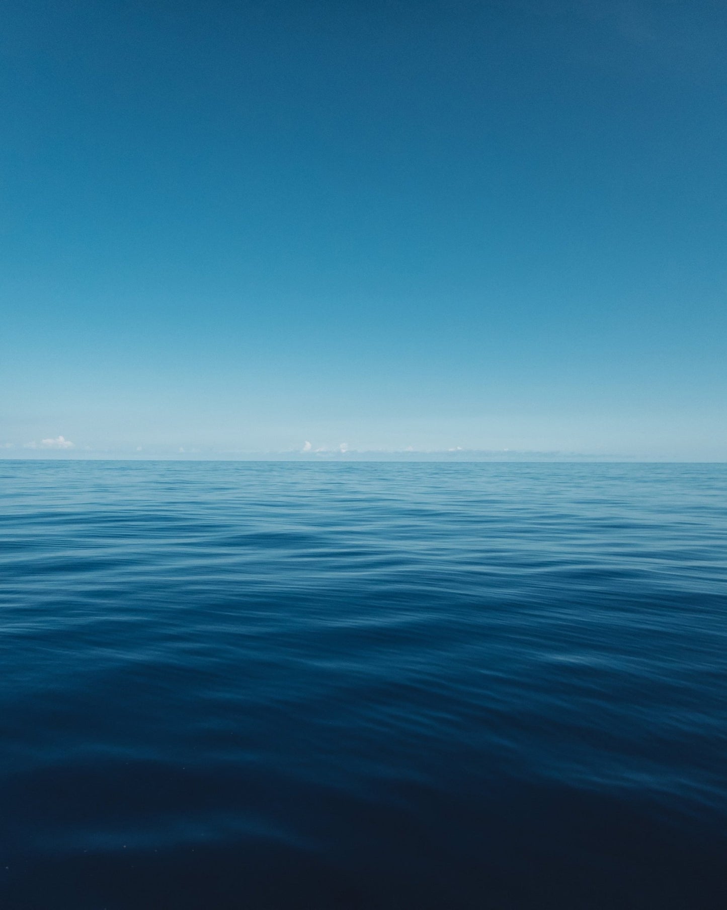 Blue Hawaii