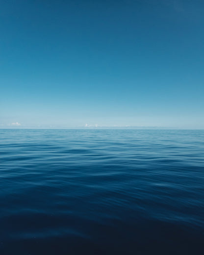 Blue Hawaii