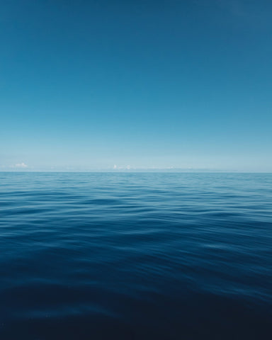 Blue Hawaii