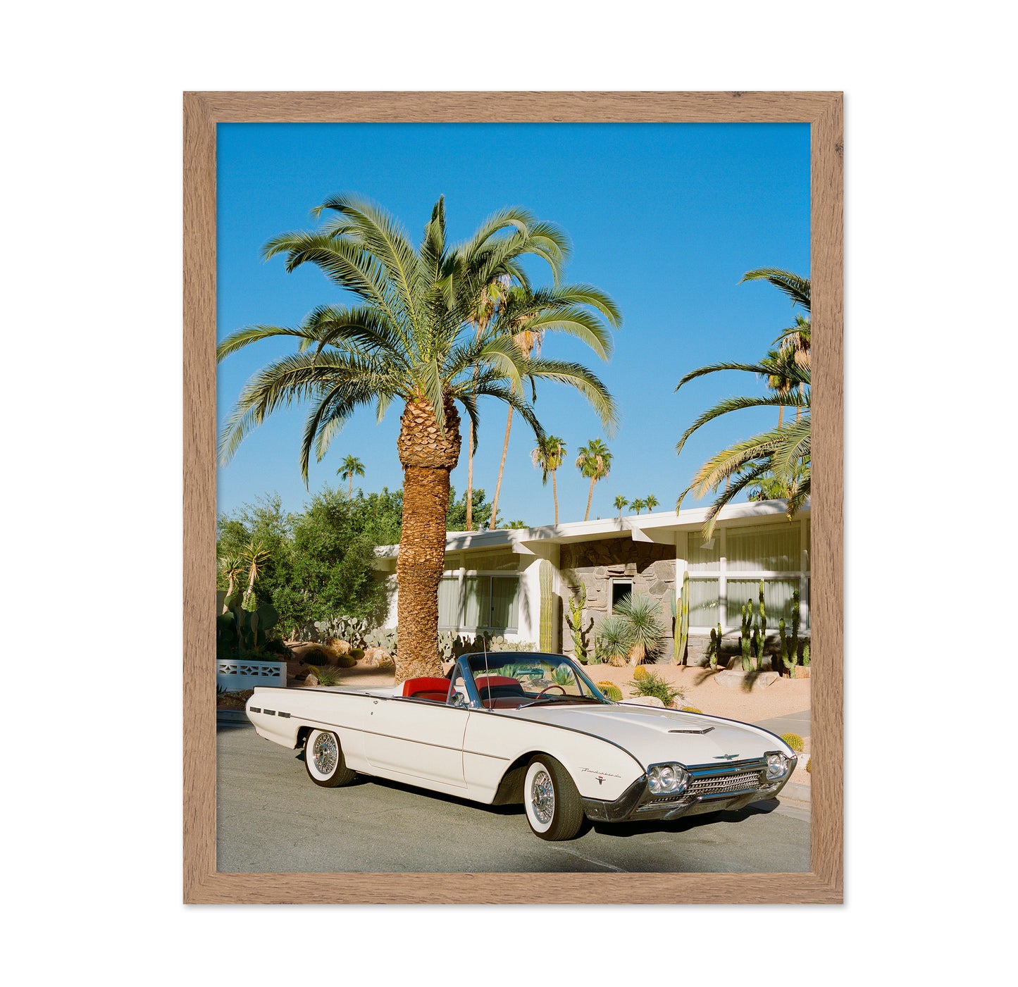 Palm Springs Thunderbird