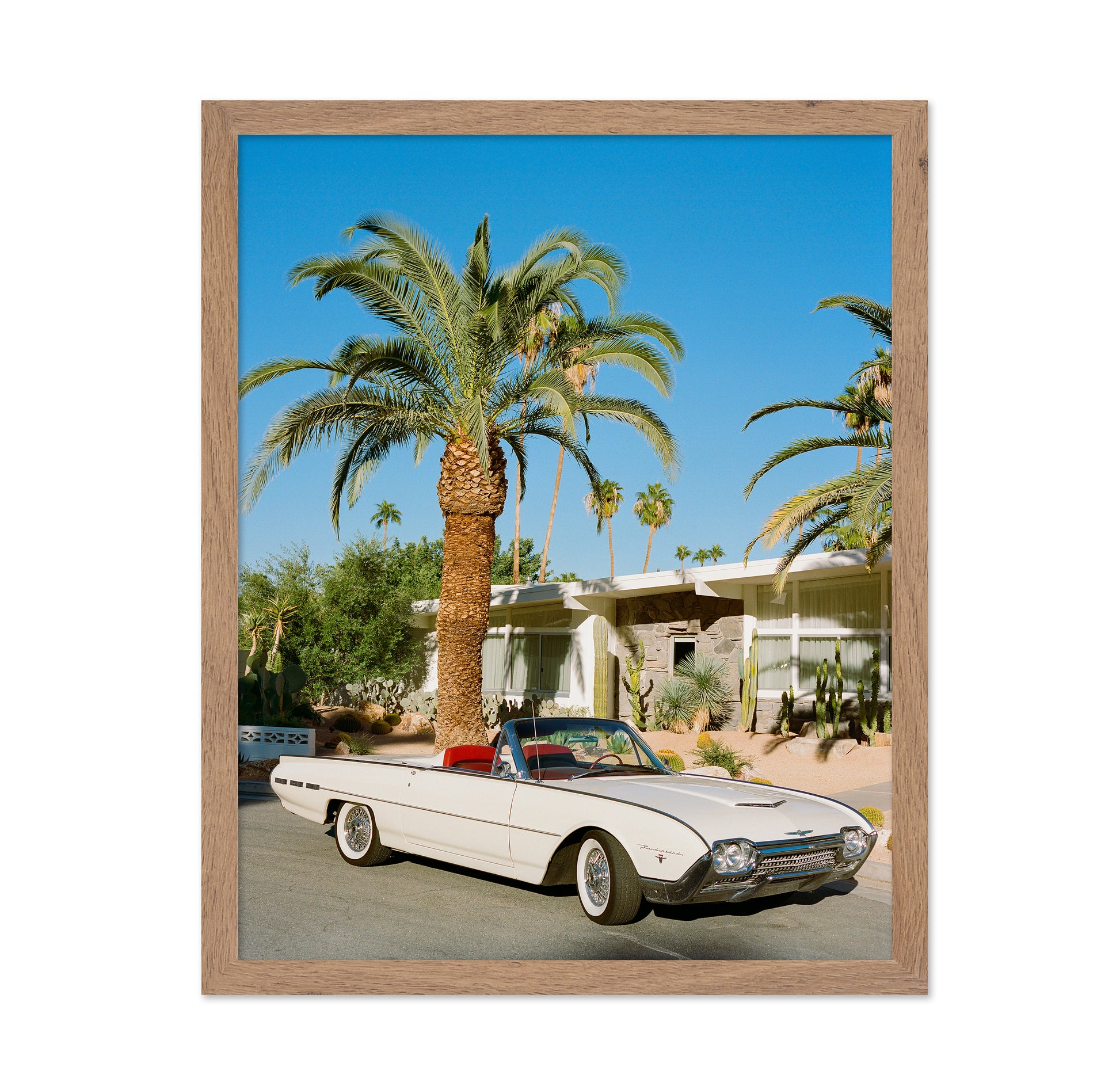 Palm Springs Thunderbird