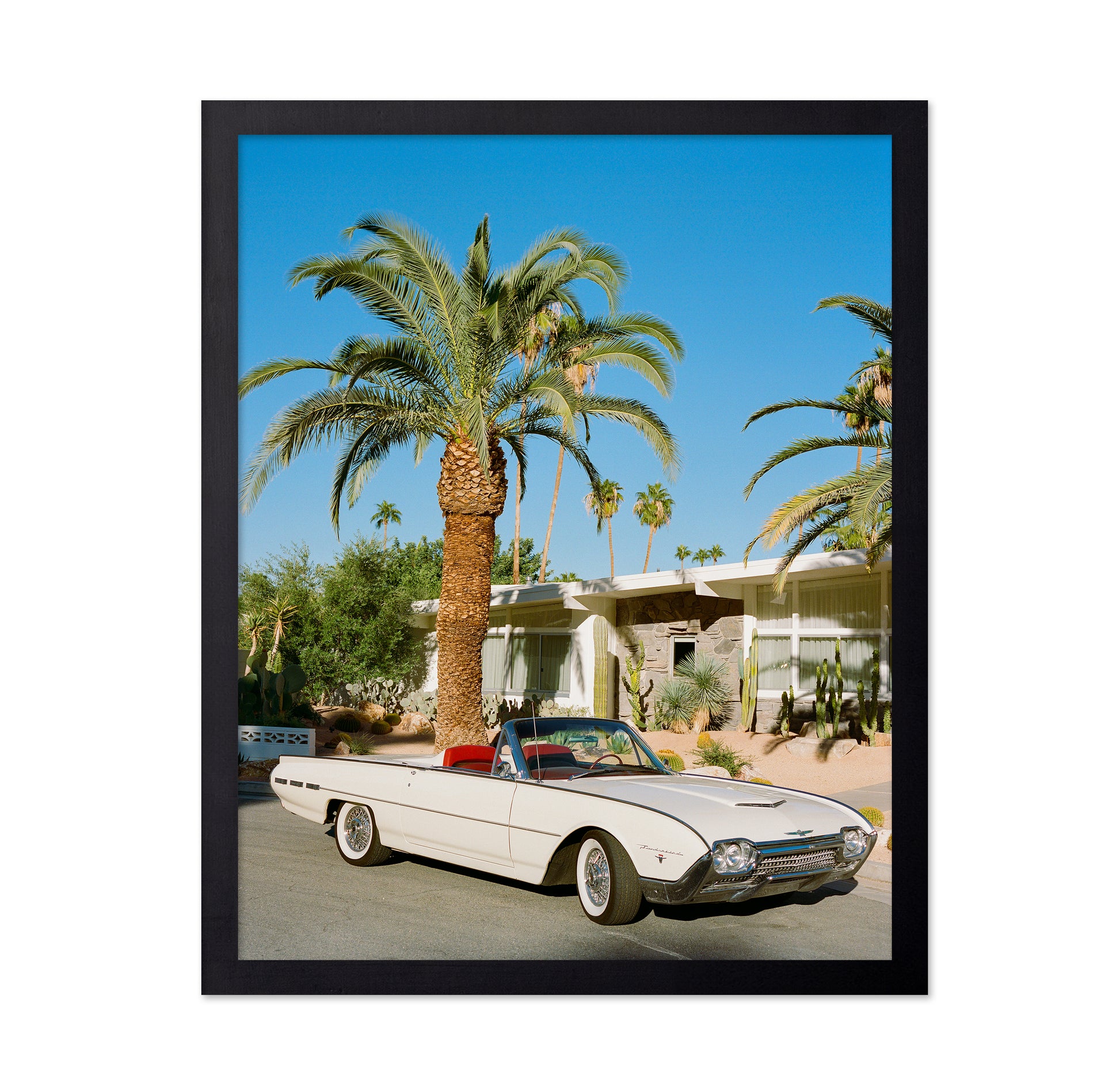 Palm Springs Thunderbird