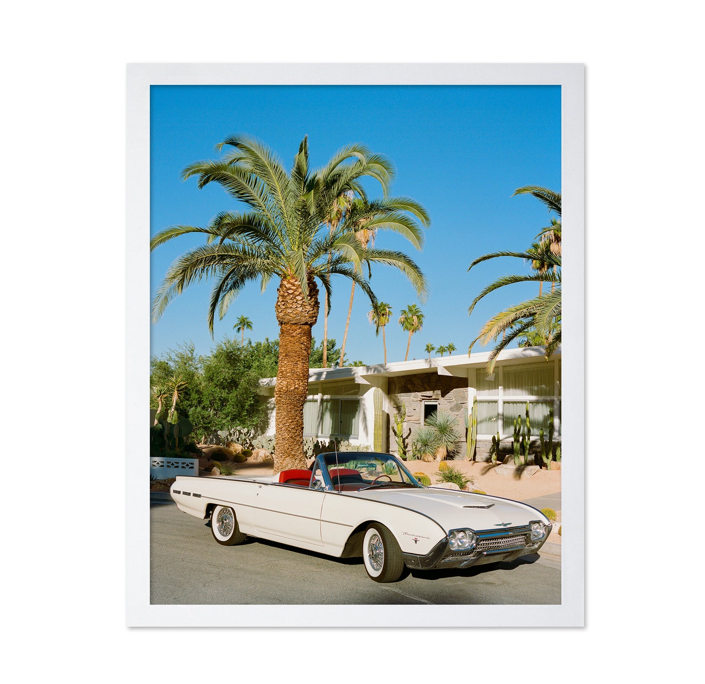 Palm Springs Thunderbird