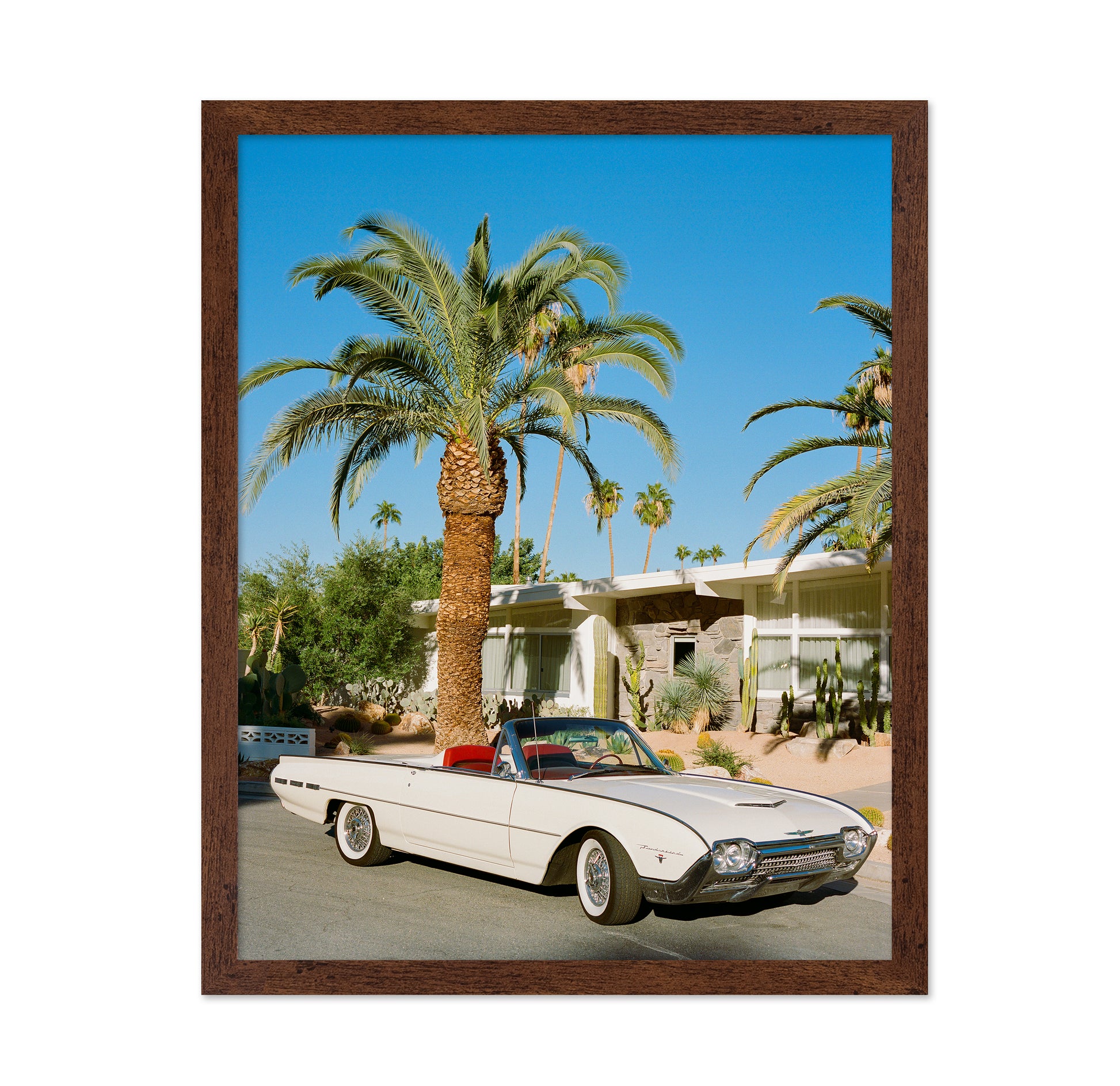 Palm Springs Thunderbird