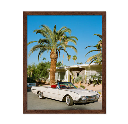 Palm Springs Thunderbird