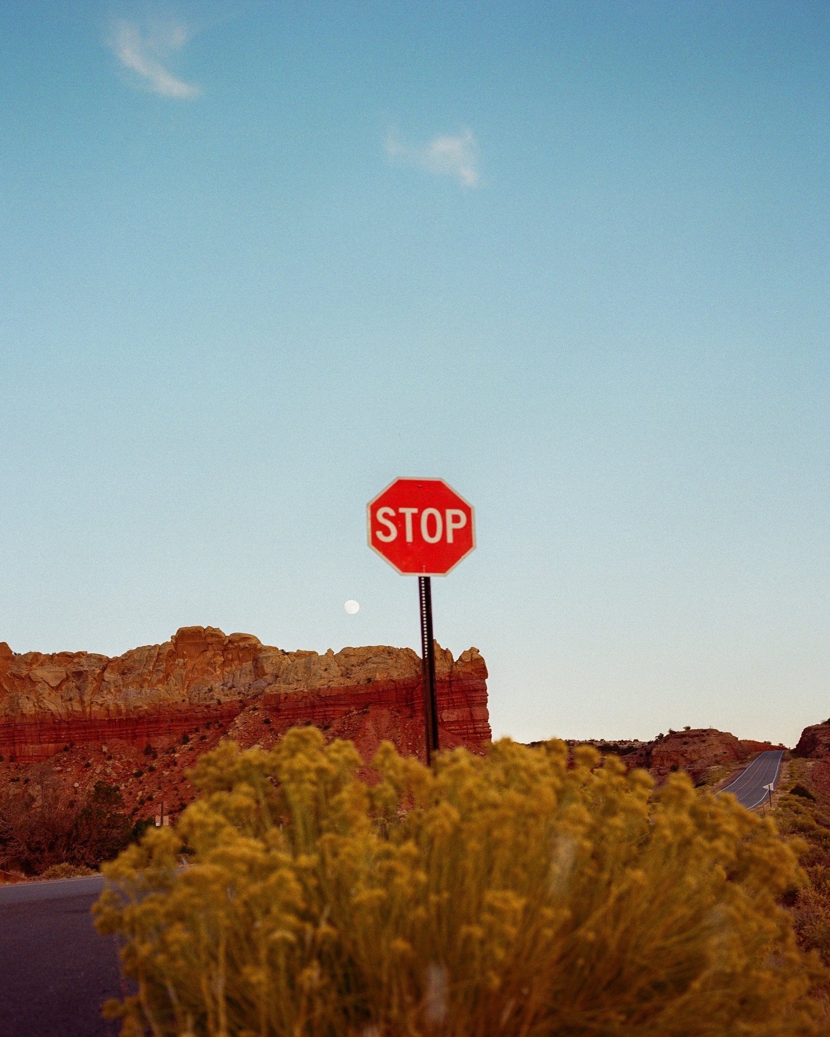 New Mexico Road Trip