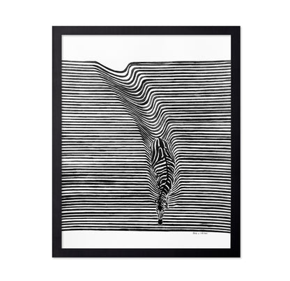 Zebra In Het Veld