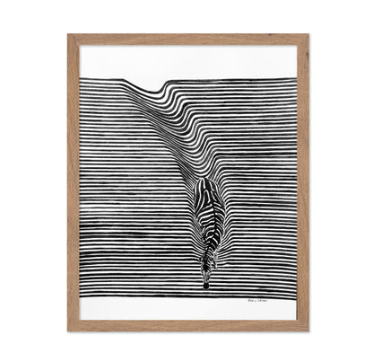 Zebra In Het Veld